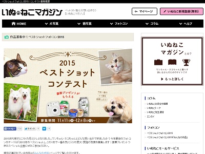 豪華プレゼント ベストショットコンテスト15 いぬねこマガジン 全国フォトコンテスト情報ポータル Picru ピクる