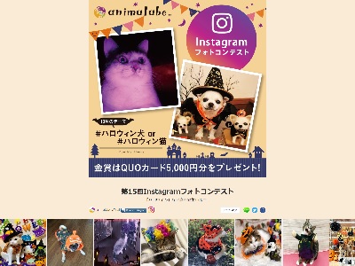 ハロウィン企画 犬猫instagramフォトコンテスト 全国フォトコンテスト情報ポータル Picru ピクる