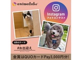 Instagramフォトコンテスト「#お出迎え」