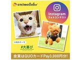 Instagramフォトコンテスト「#大喜び」