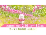 イヌトミィ モデル犬フォトコンテスト Spring2024