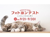 JAPAN CAT SHOW フォトコンテスト「いつだってきみに夢中」