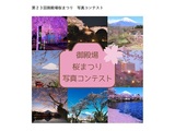 御殿場桜まつり写真コンテスト