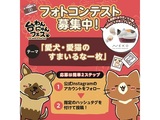 台わんにゃんフェス2025　フォトコンテスト