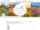 #かな花フォトコンテスト2025 ～自慢したい、かながわの花絶景～