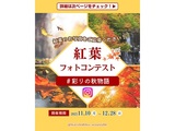 Instagram紅葉フォトコンテスト　#彩りの秋物語