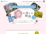 ‐ピクティア‐ 2026春のフォトコンテスト