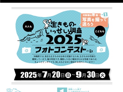 生きものいっせい調査2025フォトコンテストの部